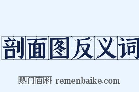 剖面图反义词是什么意思的图片